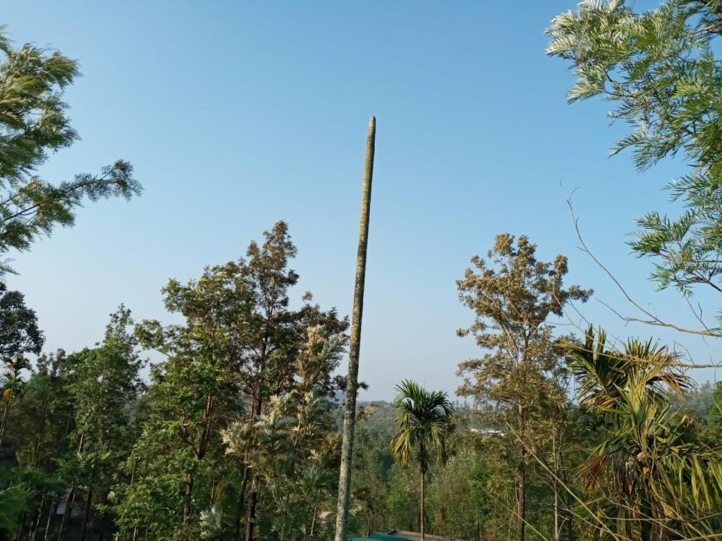 Wayanad Snow Vibes Villa Vythiri Exterior photo